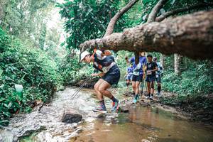 BIB: 
                            <button type="button" onclick="openModal(25374335)" class="btn btn-primary btn-sm float-right btn-popup" data-toggle="modal" data-target=".modal-high-quality">
                        <i class="fas fa-shopping-cart"></i> Add to Cart
                    </button>
                                            <button type="button" onclick="isThisMe(25374335, true)" class="btn btn-success btn-sm float-right btn-popup btn-isme hidden" data-toggle="tooltip" data-placement="bottom" title="นี่คือรูปของคุณใช่ไหม คลิกที่นี่เพื่อเอาเข้าอัลบั้ม">
                        <i class="fas fa-plus"></i> Add to album
                    </button>
                    <button type="button" onclick="isThisMe(25374335, false)" class="btn btn-warning btn-sm float-right btn-popup btn-isnotme hidden">
                        <i class="fas fa-ban"></i> Remove from album
                    </button>